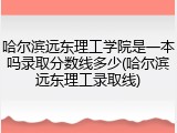 哈尔滨远东理工学院是一本吗录取分数线多少(哈尔滨远东理工录取线)