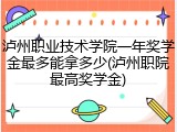 泸州职业技术学院一年奖学金最多能拿多少(泸州职院最高奖学金)