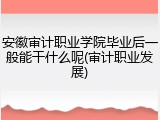 安徽审计职业学院毕业后一般能干什么呢(审计职业发展)