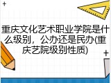 重庆文化艺术职业学院是什么级别，公办还是民办(重庆艺院级别性质)