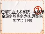 红河职业技术学院一年奖学金最多能拿多少(红河职院奖学金上限)