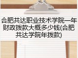 合肥共达职业技术学院一年财政拨款大概多少钱(合肥共达学院年拨款)