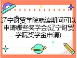 辽宁财贸学院就读期间可以申请哪些奖学金(辽宁财贸学院奖学金申请)