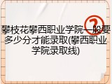 攀枝花攀西职业学院一般要多少分才能录取(攀西职业学院录取线)
