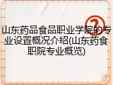 山东药品食品职业学院的专业设置概况介绍(山东药食职院专业概览)