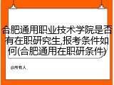 合肥通用职业技术学院是否有在职研究生,报考条件如何(合肥通用在职研条件)
