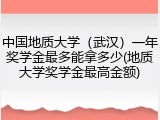 中国地质大学（武汉）一年奖学金最多能拿多少(地质大学奖学金最高金额)