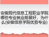安徽现代信息工程职业学院哪些专业就业前景好，为什么(安徽信息学院优势专业)
