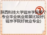 陕西科技大学镐京学院哪个专业毕业就业前景比较好(镐京学院好就业专业)
