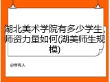 湖北美术学院有多少学生，师资力量如何(湖美师生规模)