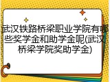 武汉铁路桥梁职业学院有哪些奖学金和助学金呢(武汉桥梁学院奖助学金)