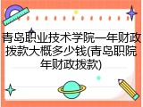 青岛职业技术学院一年财政拨款大概多少钱(青岛职院年财政拨款)