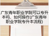 广东青年职业学院可以专升本吗，如何操作(广东青年职业学院专升本流程)