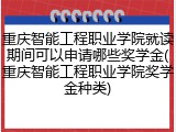 重庆智能工程职业学院就读期间可以申请哪些奖学金(重庆智能工程职业学院奖学金种类)