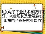 山东电子职业技术学院好不好，就业现状及发展趋势(山东电子职院就业趋势)