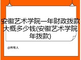 安徽艺术学院一年财政拨款大概多少钱(安徽艺术学院年拨款)