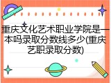 重庆文化艺术职业学院是一本吗录取分数线多少(重庆艺职录取分数)