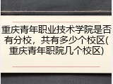 重庆青年职业技术学院是否有分校，共有多少个校区(重庆青年职院几个校区)