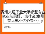 贵州交通职业大学哪些专业就业前景好，为什么(贵州交大就业优势专业)