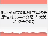 湖北孝感美珈职业学院校长是谁,校长基本介绍(孝感美珈校长介绍)