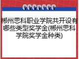 郴州思科职业学院共开设有哪些类型奖学金(郴州思科学院奖学金种类)