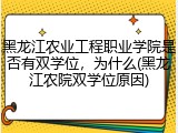 黑龙江农业工程职业学院是否有双学位，为什么(黑龙江农院双学位原因)