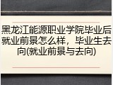 黑龙江能源职业学院毕业后就业前景怎么样，毕业生去向(就业前景与去向)