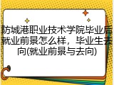 防城港职业技术学院毕业后就业前景怎么样，毕业生去向(就业前景与去向)
