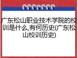 广东松山职业技术学院的校训是什么,有何历史(广东松山校训历史)