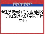 宿迁学院最好的专业是哪个，详细阐述(宿迁学院王牌专业)