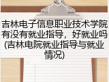 吉林电子信息职业技术学院有没有就业指导，好就业吗(吉林电院就业指导与就业情况)