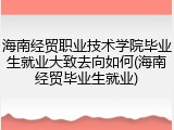 海南经贸职业技术学院毕业生就业大致去向如何(海南经贸毕业生就业)