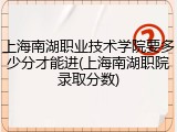 上海南湖职业技术学院要多少分才能进(上海南湖职院录取分数)