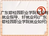 广东碧桂园职业学院有没有就业指导，好就业吗(广东碧桂园职业学院就业如何)