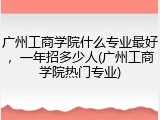 广州工商学院什么专业最好，一年招多少人(广州工商学院热门专业)