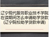 辽宁现代服务职业技术学院在读期间怎么申请助学贷款(辽宁院校助学贷款申请)
