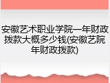 安徽艺术职业学院一年财政拨款大概多少钱(安徽艺院年财政拨款)
