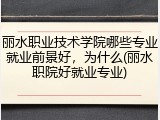 丽水职业技术学院哪些专业就业前景好，为什么(丽水职院好就业专业)