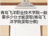 青岛飞洋职业技术学院一般要多少分才能录取(青岛飞洋学院录取分数)