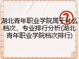 湖北青年职业学院属于什么档次，专业排行分析(湖北青年职业学院档次排行)
