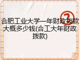 合肥工业大学一年财政拨款大概多少钱(合工大年财政拨款)