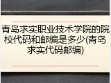 青岛求实职业技术学院的院校代码和邮编是多少(青岛求实代码邮编)