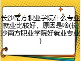 长沙南方职业学院什么专业就业比较好，原因是啥(长沙南方职业学院好就业专业)