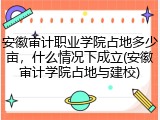 安徽审计职业学院占地多少亩，什么情况下成立(安徽审计学院占地与建校)