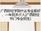 广西财经学院什么专业最好，一年招多少人(广西财经热门专业招生)