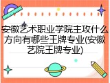 安徽艺术职业学院主攻什么方向有哪些王牌专业(安徽艺院王牌专业)