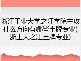 浙江工业大学之江学院主攻什么方向有哪些王牌专业(浙工大之江王牌专业)