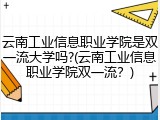 云南工业信息职业学院是双一流大学吗?(云南工业信息职业学院双一流？)