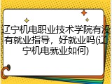 辽宁机电职业技术学院有没有就业指导，好就业吗(辽宁机电就业如何)