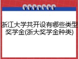 浙江大学共开设有哪些类型奖学金(浙大奖学金种类)
